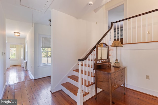 stairway featuring radiator heating unit and wood-type flooring