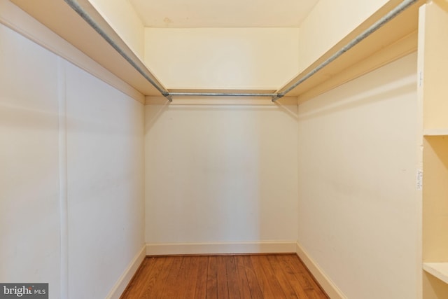 walk in closet with hardwood / wood-style flooring