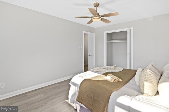 bedroom with wood-type flooring, a closet, and ceiling fan