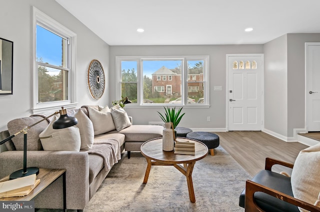 living room with plenty of natural light and light wood-type flooring