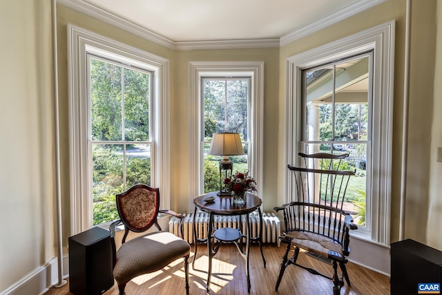 sitting room with radiator, hardwood / wood-style flooring, and ornamental molding