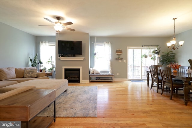 living room featuring ceiling fan with notable chandelier and light wood-type flooring