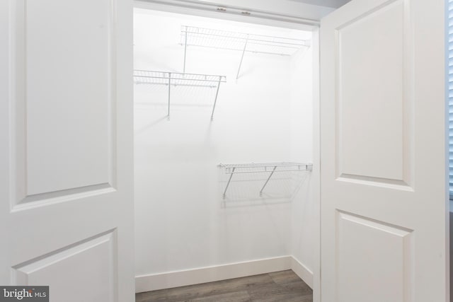 walk in closet with wood-type flooring