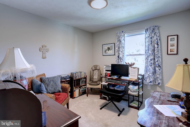 office space with a textured ceiling and light colored carpet