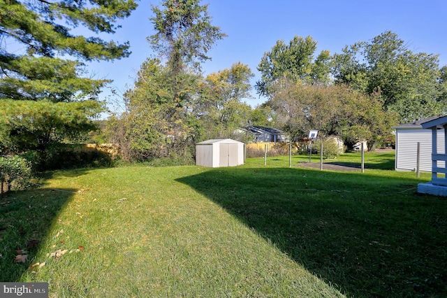 view of yard with a storage unit