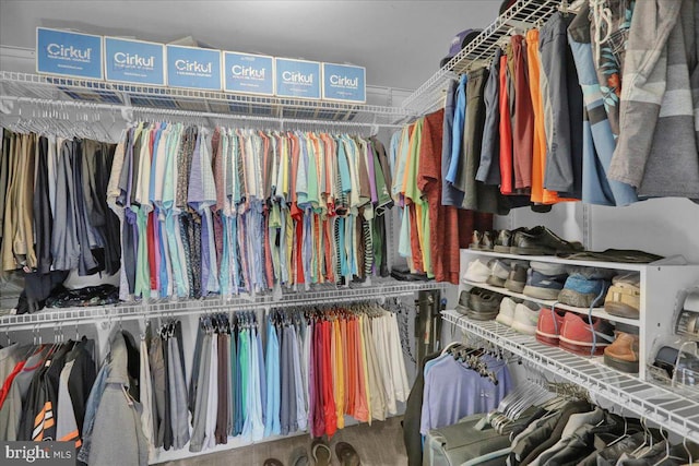 view of walk in closet