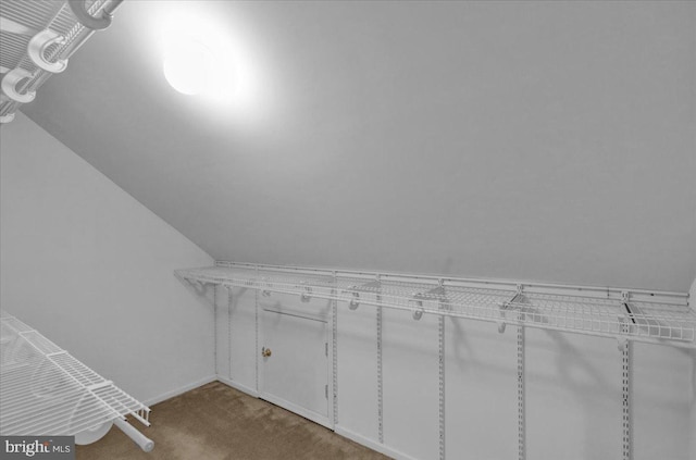 walk in closet with vaulted ceiling and light colored carpet