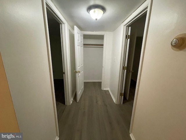 hallway featuring dark wood-type flooring