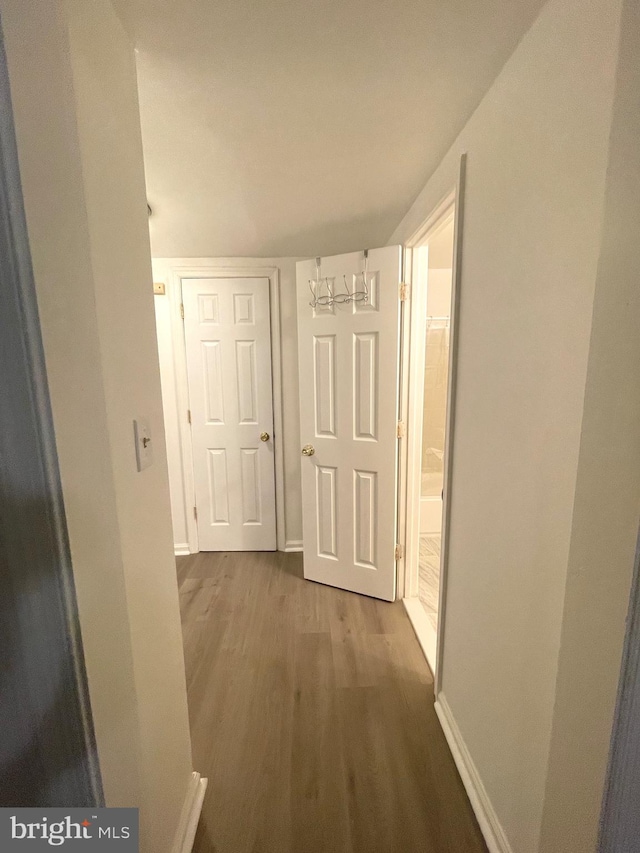 hallway featuring dark wood-type flooring