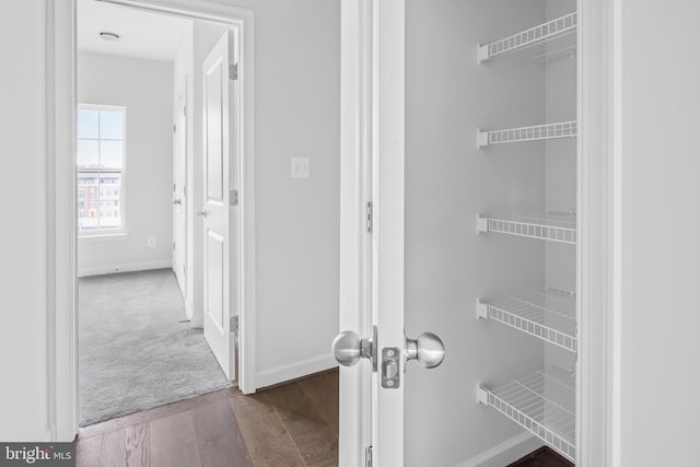0 Triggerfish Dr, National Harbor, MD 20745 - view of closet