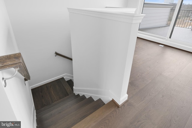 staircase featuring wood-type flooring