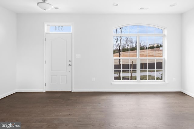 entrance foyer featuring dark wood-type flooring