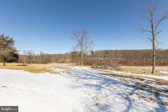 view of yard covered in snow