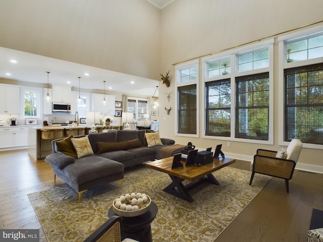 living room with sink, a high ceiling, and light wood-type flooring