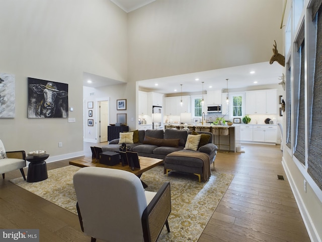 living room with sink, a high ceiling, and wood-type flooring