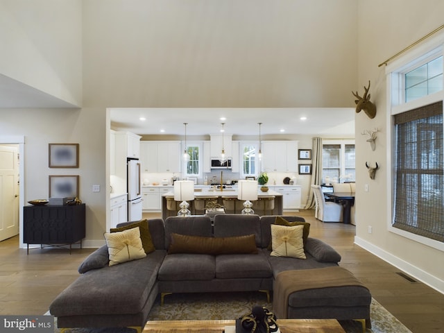 living room featuring wood-type flooring and a high ceiling