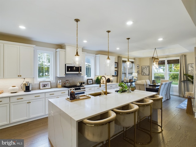 kitchen with sink, a wealth of natural light, dark hardwood / wood-style floors, and stainless steel stove