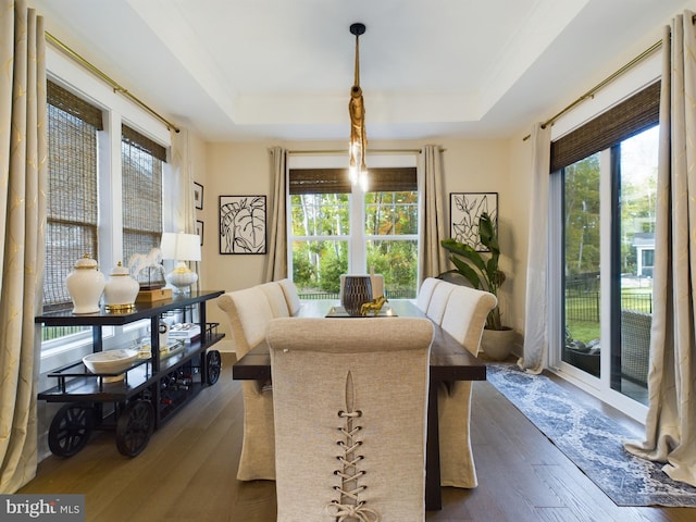 dining space featuring a healthy amount of sunlight, a tray ceiling, and dark hardwood / wood-style flooring