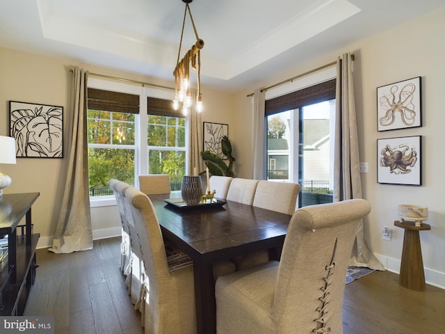 dining area with dark wood-type flooring and a raised ceiling