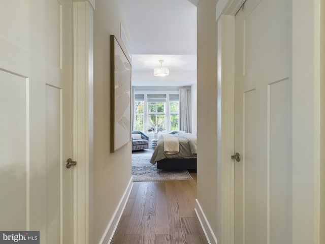 corridor with hardwood / wood-style floors