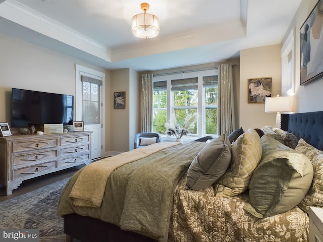 bedroom with a raised ceiling, multiple windows, and dark hardwood / wood-style flooring