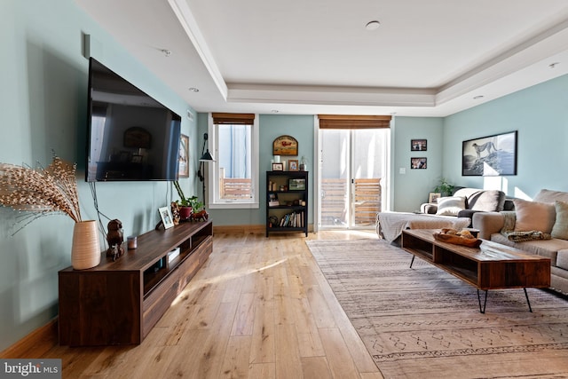 living room featuring light hardwood / wood-style floors and a raised ceiling