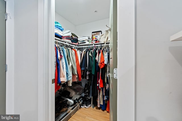 spacious closet with wood-type flooring