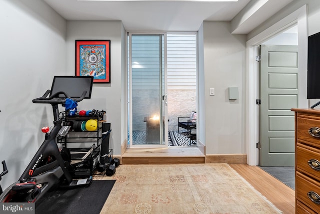 exercise room featuring hardwood / wood-style flooring