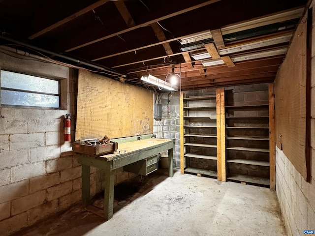 basement with a workshop area