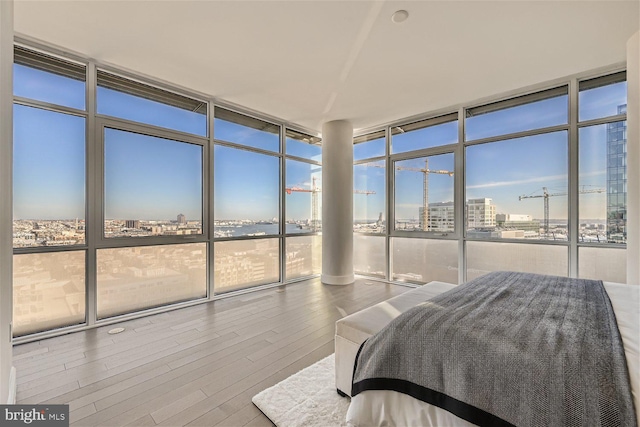 bedroom featuring expansive windows and wood-type flooring