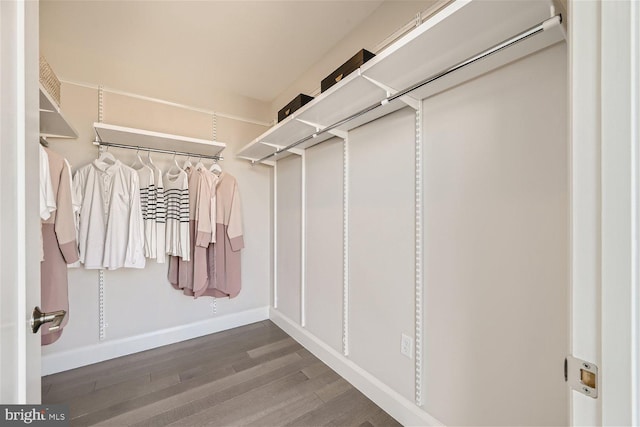 spacious closet with dark wood-type flooring