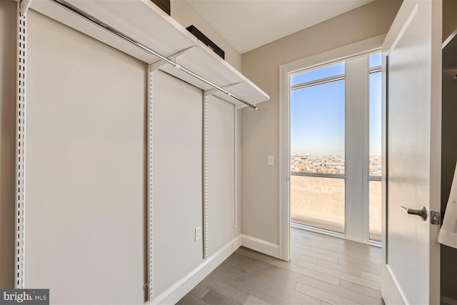 walk in closet featuring wood-type flooring