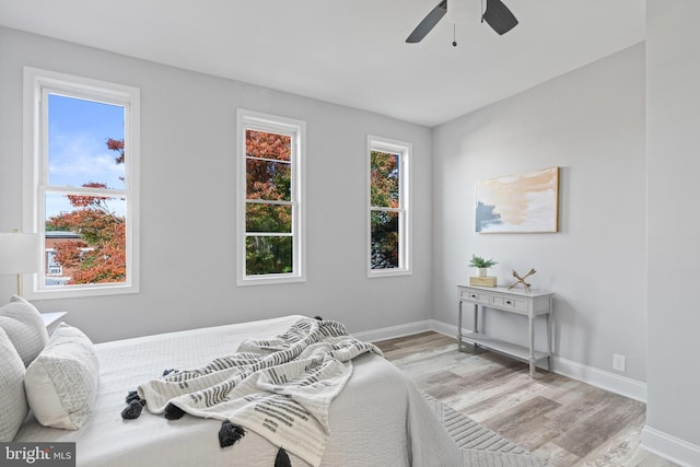 bedroom with light hardwood / wood-style flooring, multiple windows, and ceiling fan