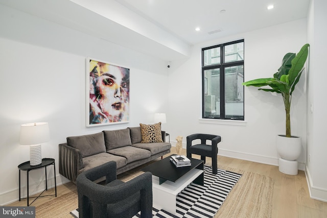 living room with light wood-type flooring