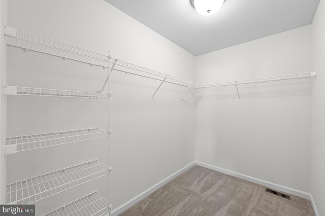 spacious closet with carpet floors