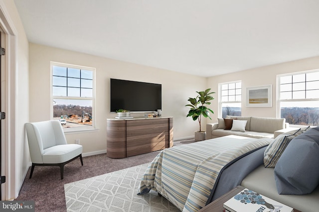 carpeted bedroom featuring multiple windows