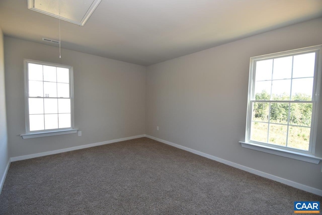 carpeted spare room with a healthy amount of sunlight