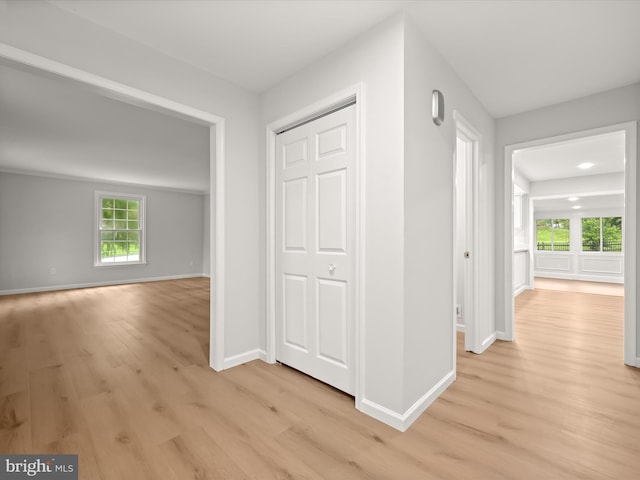 8018 Martown Rd, Laurel, MD 20723 - hall featuring light wood-style flooring and baseboards