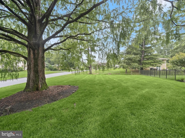 8018 Martown Rd, Laurel, MD 20723 - view of yard