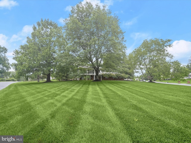 8018 Martown Rd, Laurel, MD 20723 - view of green lawn
