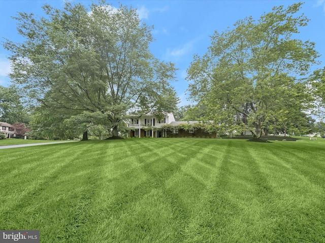 8018 Martown Rd, Laurel, MD 20723 - view of grassy yard