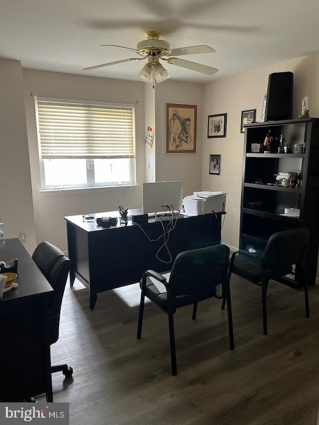 office area featuring hardwood / wood-style flooring and ceiling fan