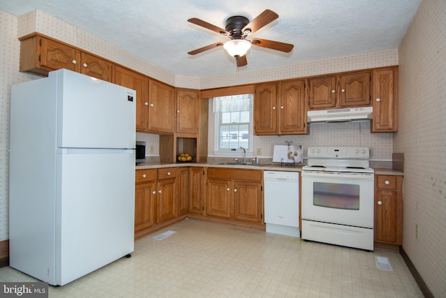 kitchen with sink, a textured ceiling, white appliances, and ceiling fan