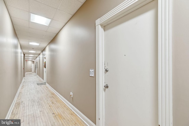 corridor featuring a drop ceiling and wood-type flooring