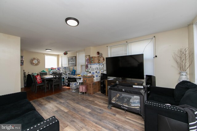 living room with hardwood / wood-style flooring