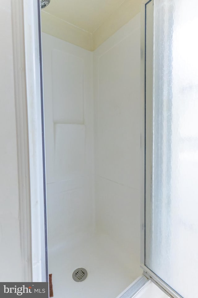 bathroom with a shower