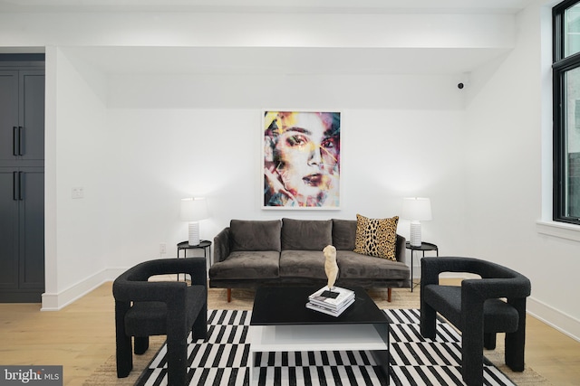 living room featuring hardwood / wood-style flooring