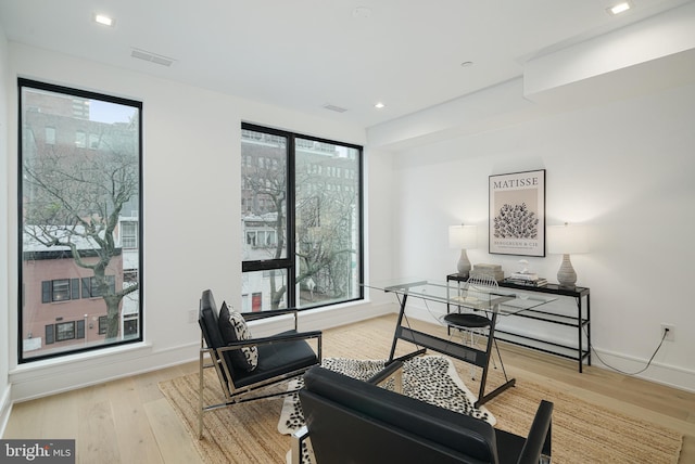 interior space featuring light hardwood / wood-style floors and plenty of natural light