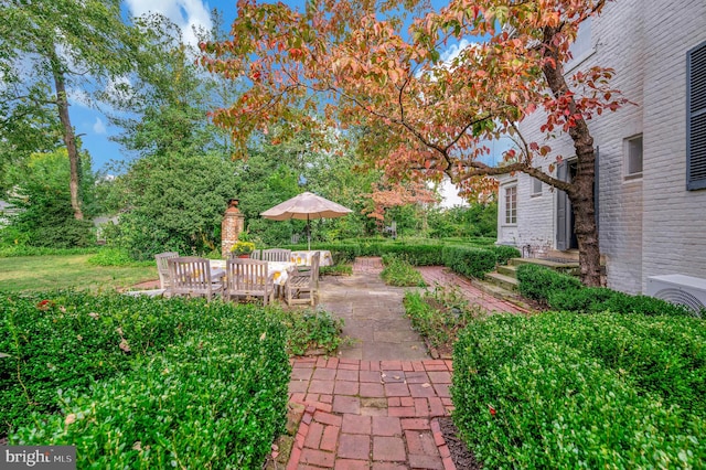 view of yard featuring a patio