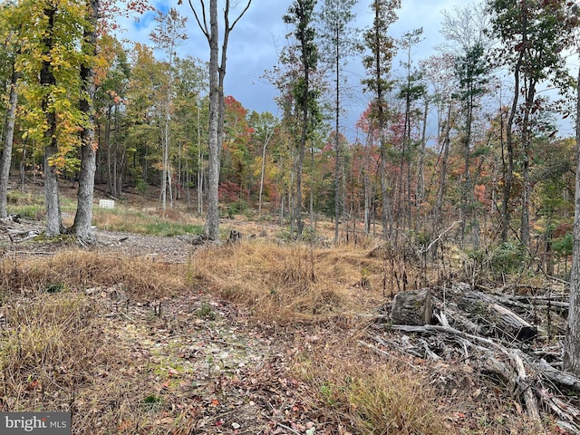 0 Falcon Rd, Mathias, WV 26812
